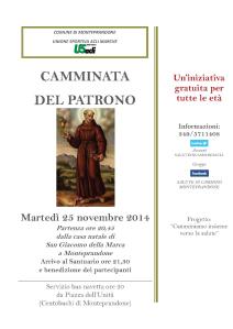 CAMMINATADEL PATRONO 25112014