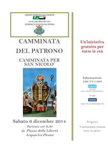 CAMMINATADEL PATRONO06122014