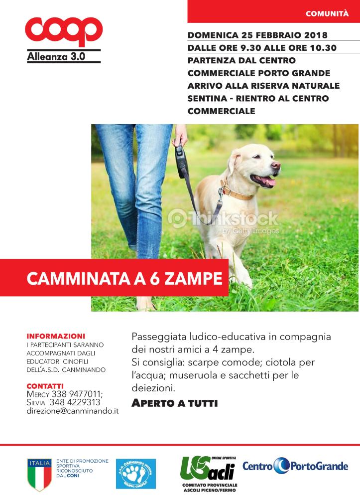 25022018volantinoesatto