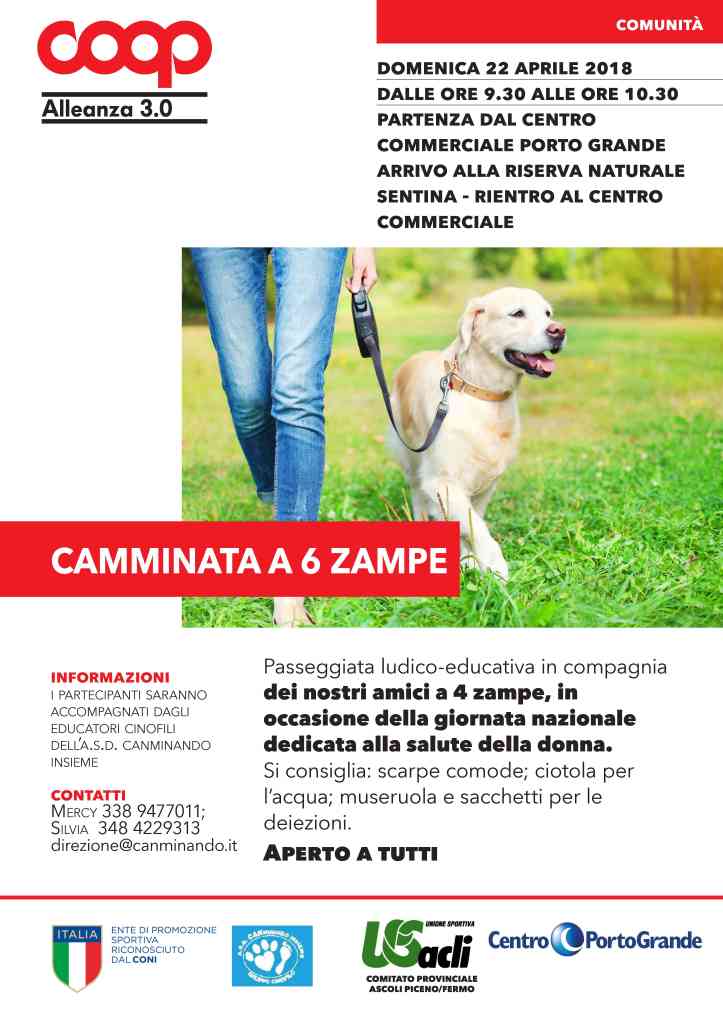 ponti camminata 6 zampe aprile1